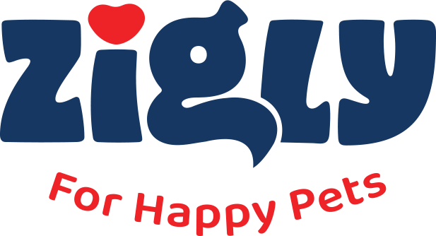 0_Zigly-Logo.png