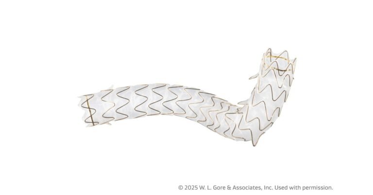 GORE_VIABIL_Biliary_Endoprosthesis.jpg