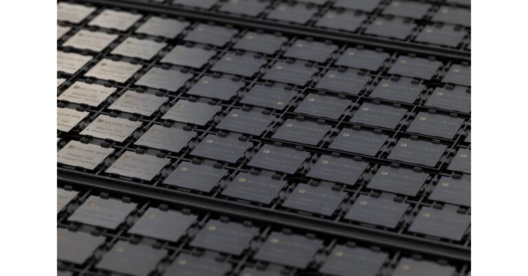 Silicon_Box_Packaged_Chips.jpg