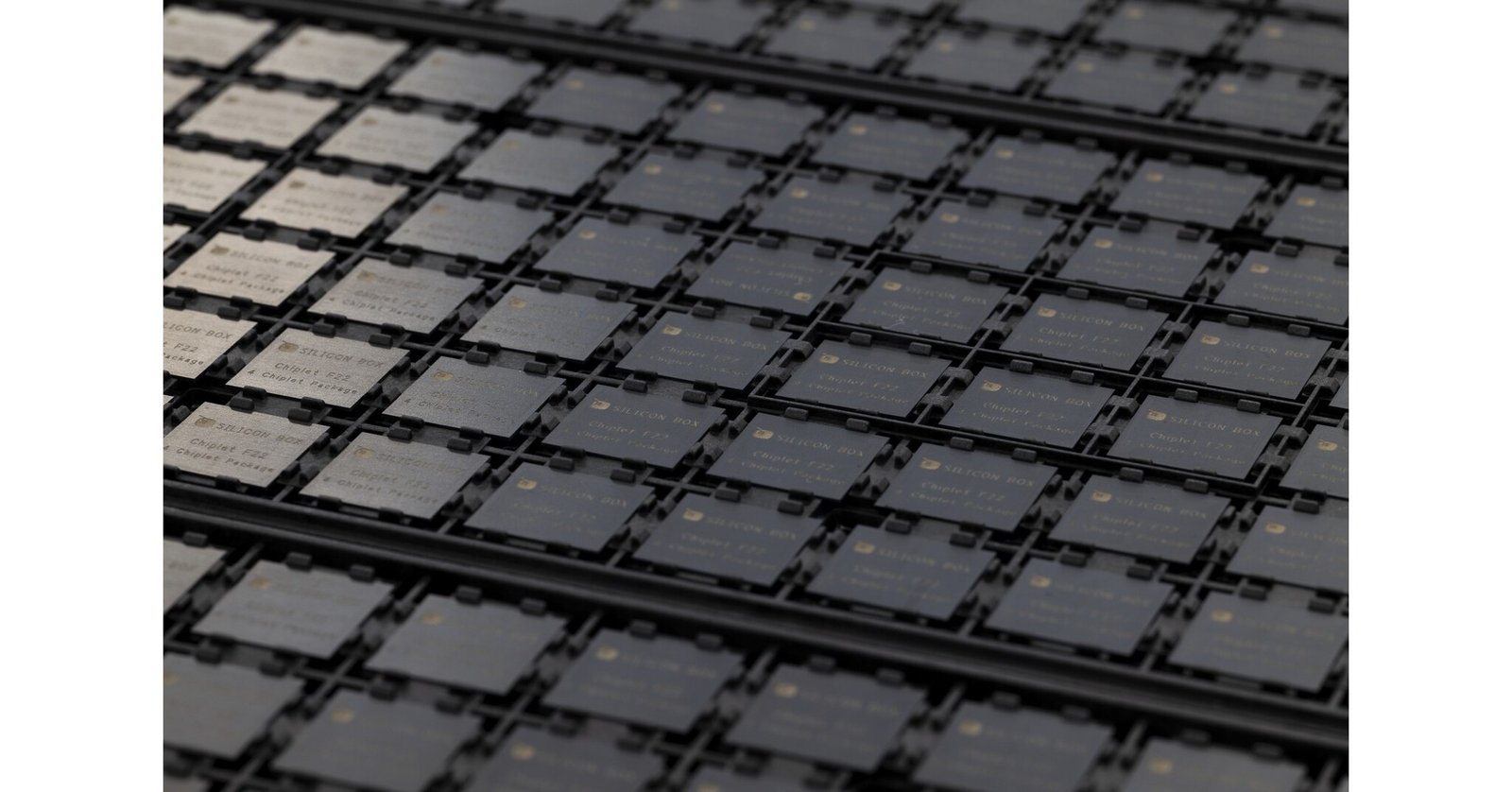 Silicon_Box_Packaged_Chips.jpg